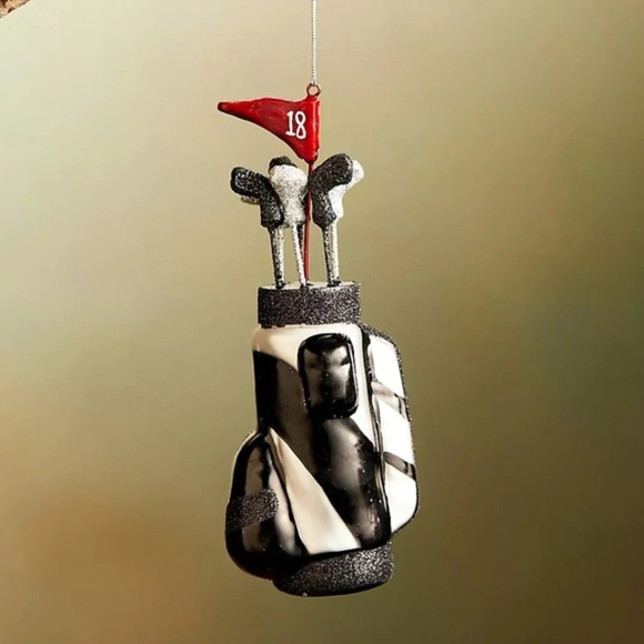 NWT Anthropologie Terrain Golf Bag Glass Christmas Ornament - Picture 1 of 1